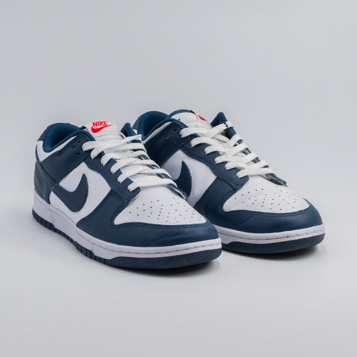 Nike Dunk Low Valerian Blue