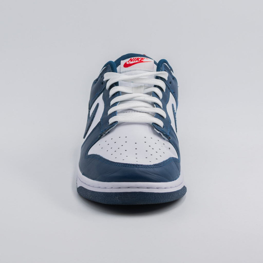 Nike Dunk Low Valerian Blue