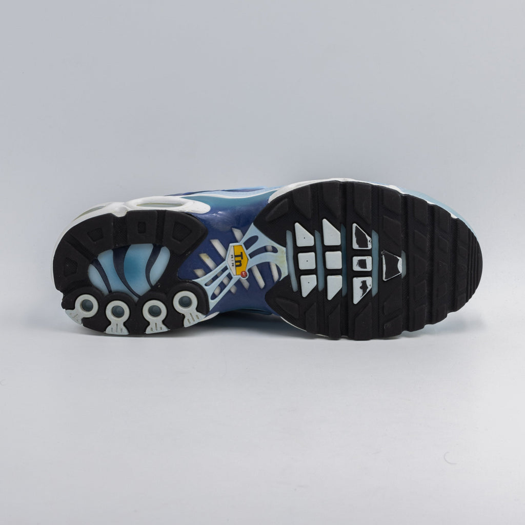 Nike Air Max Plus Celestine Blue
