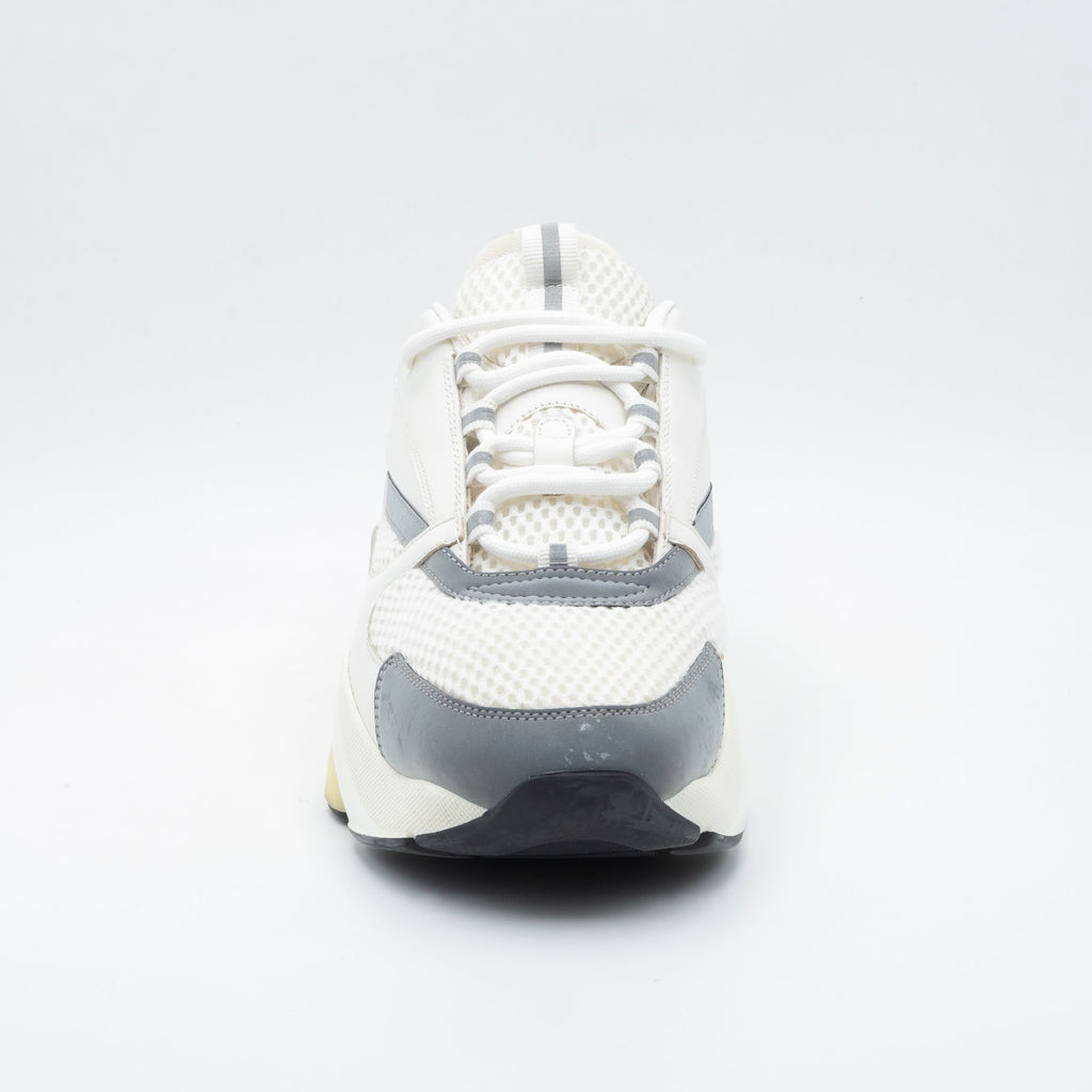 Dior B22 - White Grey