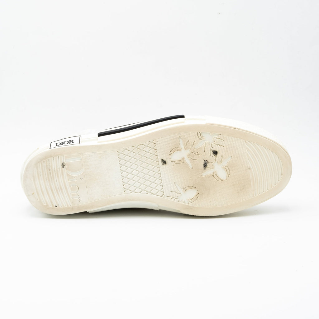 Dior B23 Oblique