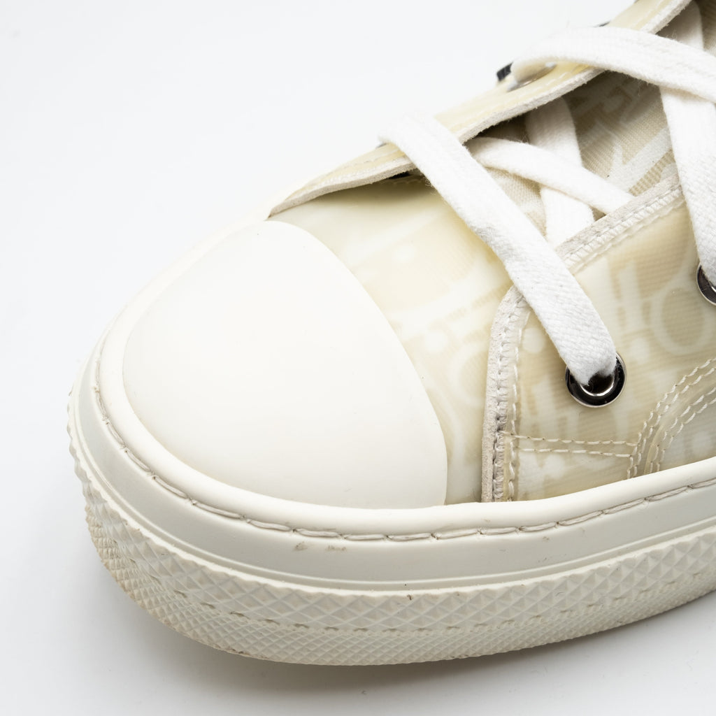 Dior B23 Oblique