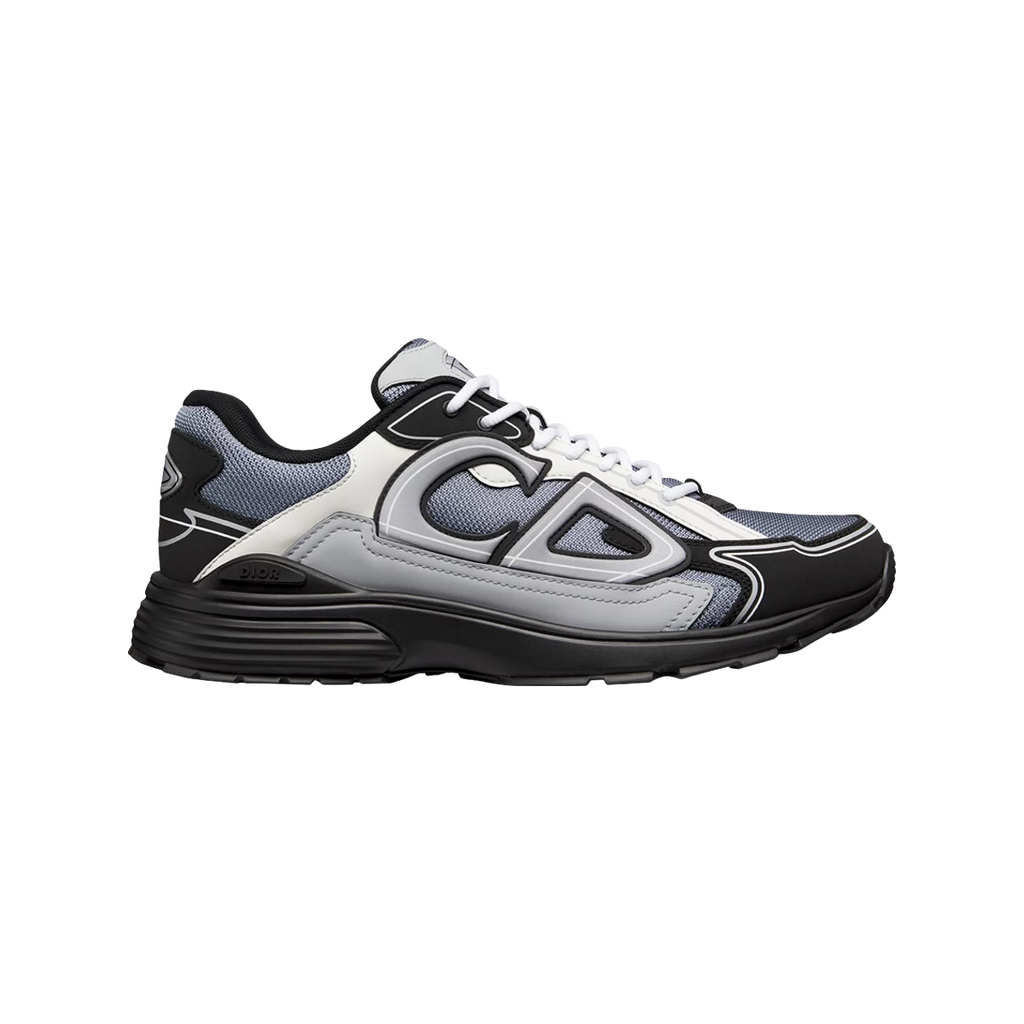 Dior B30 Light Gray Gray