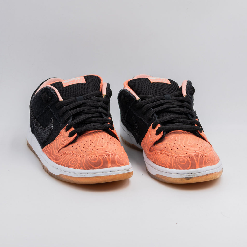Nike Dunk Low Pro SB 'Fish Ladder'