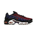 Nike Air Max Plus 25th Anniversary