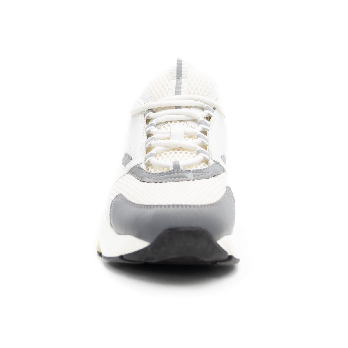 Dior B22 - White Grey
