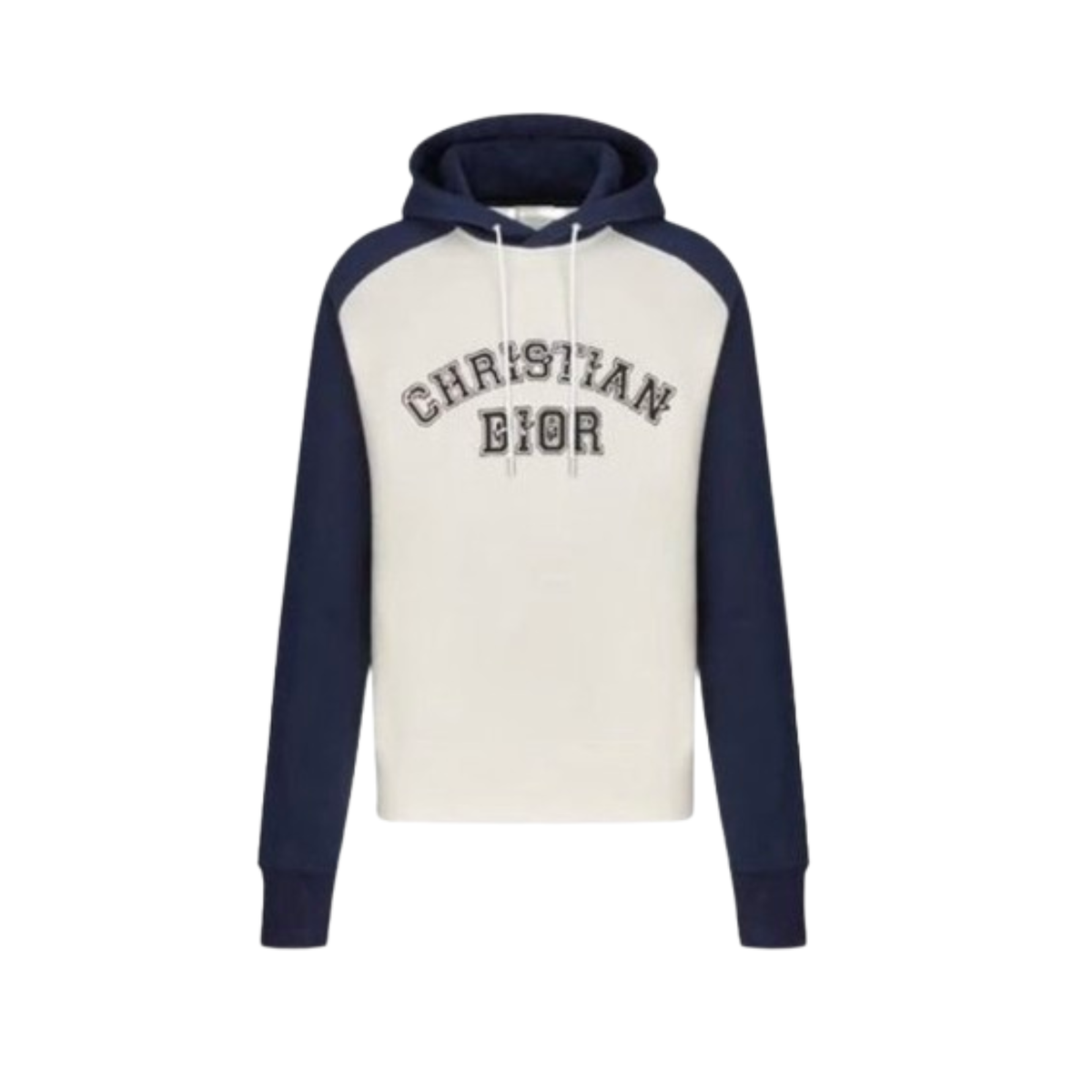 Dior x Peter Doig Hoodie