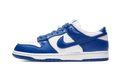 Nike Dunk Low SP Kentucky